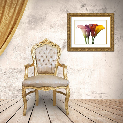 Four calla lilies Gold Ornate Wood Framed Art Print with Double Matting by Frank, Assaf
