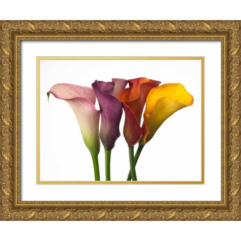 Four calla lilies Gold Ornate Wood Framed Art Print with Double Matting by Frank, Assaf