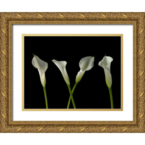 Calla lilies in a row Gold Ornate Wood Framed Art Print with Double Matting by Frank, Assaf