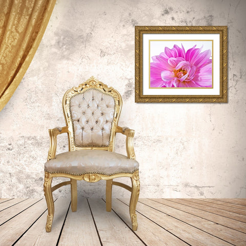 Dahlia Flower Gold Ornate Wood Framed Art Print with Double Matting by Frank, Assaf