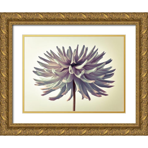 Dahlia Flower Gold Ornate Wood Framed Art Print with Double Matting by Frank, Assaf