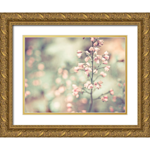 Flowering Heuchera Gold Ornate Wood Framed Art Print with Double Matting by Frank, Assaf
