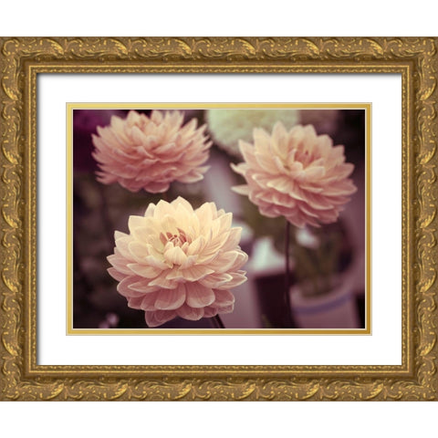 Dahlia Flowers Gold Ornate Wood Framed Art Print with Double Matting by Frank, Assaf
