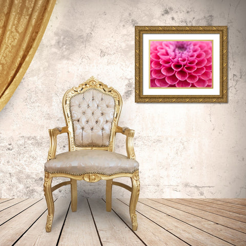 Dahlia Flower Gold Ornate Wood Framed Art Print with Double Matting by Frank, Assaf