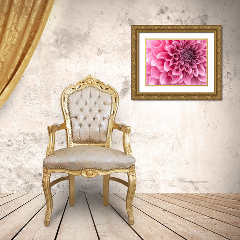 Dahlia flower - Full frame Gold Ornate Wood Framed Art Print with Double Matting by Frank, Assaf