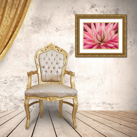 Dahlia Flower Gold Ornate Wood Framed Art Print with Double Matting by Frank, Assaf