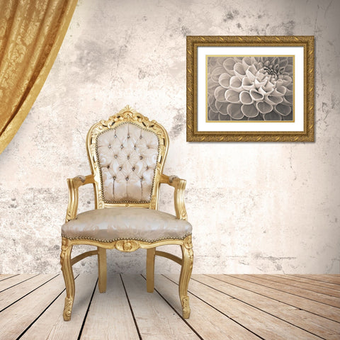 Dahlia Flowers Gold Ornate Wood Framed Art Print with Double Matting by Frank, Assaf