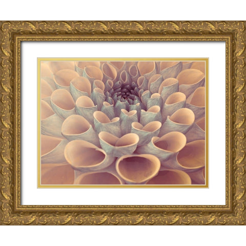 Dahlia Flower Gold Ornate Wood Framed Art Print with Double Matting by Frank, Assaf