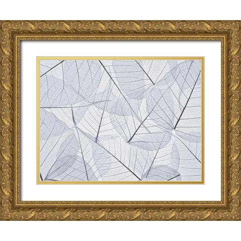 Skeleton leaves Gold Ornate Wood Framed Art Print with Double Matting by Frank, Assaf