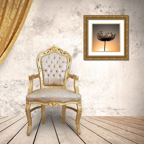 Sillouette of a bishops weed Gold Ornate Wood Framed Art Print with Double Matting by Frank, Assaf