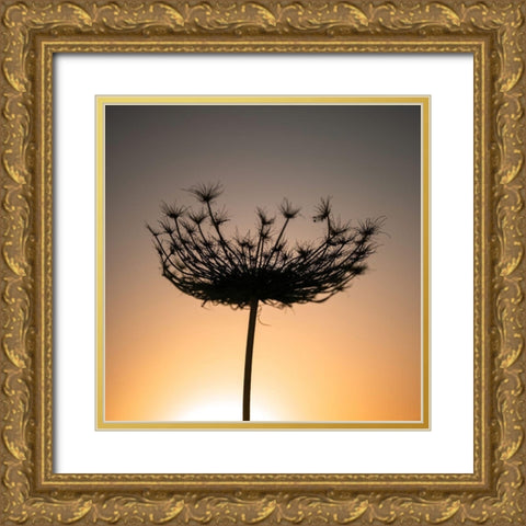 Sillouette of a bishops weed Gold Ornate Wood Framed Art Print with Double Matting by Frank, Assaf