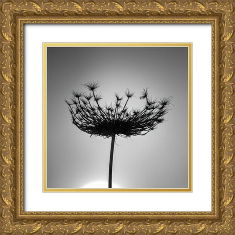 Sillouette of a bishops weed Gold Ornate Wood Framed Art Print with Double Matting by Frank, Assaf
