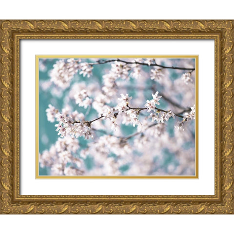 Blossom flowers Gold Ornate Wood Framed Art Print with Double Matting by Frank, Assaf