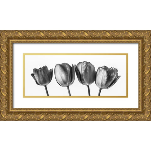 Four tulips, FTBR-1795 Gold Ornate Wood Framed Art Print with Double Matting by Frank, Assaf