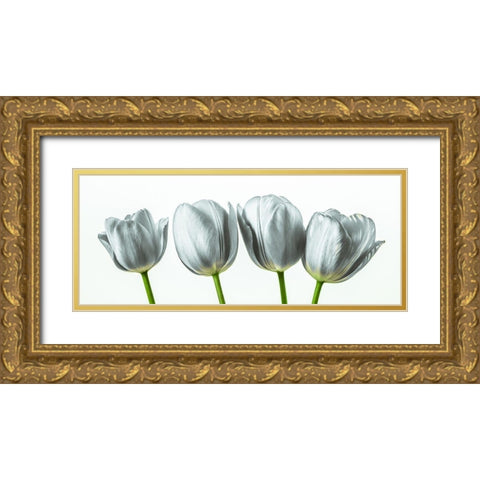 Four tulips Gold Ornate Wood Framed Art Print with Double Matting by Frank, Assaf