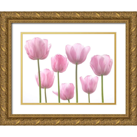 Tulips Gold Ornate Wood Framed Art Print with Double Matting by Frank, Assaf