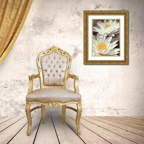 Water Lilies Gold Ornate Wood Framed Art Print with Double Matting by Frank, Assaf