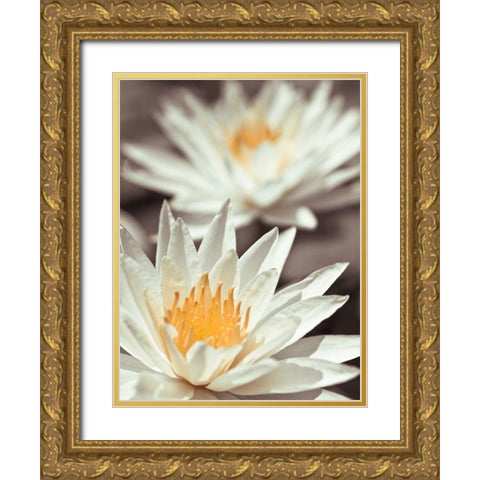 Water Lilies Gold Ornate Wood Framed Art Print with Double Matting by Frank, Assaf
