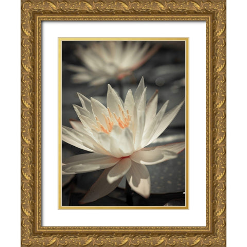 Water Lily Gold Ornate Wood Framed Art Print with Double Matting by Frank, Assaf