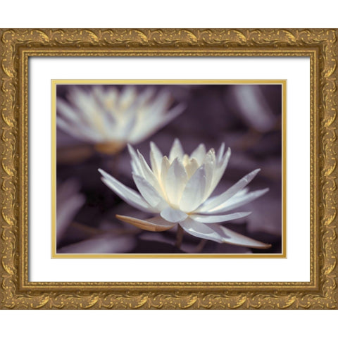 Water Lilies Gold Ornate Wood Framed Art Print with Double Matting by Frank, Assaf