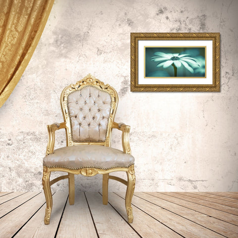 Daisy Flower Gold Ornate Wood Framed Art Print with Double Matting by Frank, Assaf