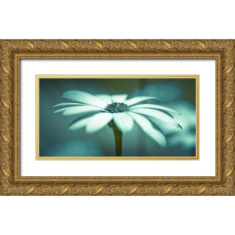 Daisy Flower Gold Ornate Wood Framed Art Print with Double Matting by Frank, Assaf