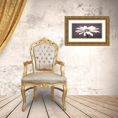 Daisy Flower Gold Ornate Wood Framed Art Print with Double Matting by Frank, Assaf