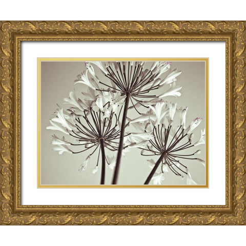 African Lily Gold Ornate Wood Framed Art Print with Double Matting by Frank, Assaf