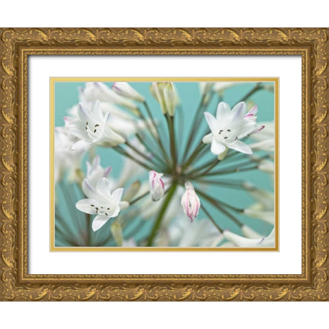 African Lily Gold Ornate Wood Framed Art Print with Double Matting by Frank, Assaf