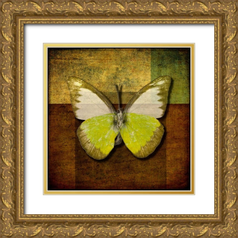 Handwritten old postcard with butterfly Gold Ornate Wood Framed Art Print with Double Matting by Frank, Assaf