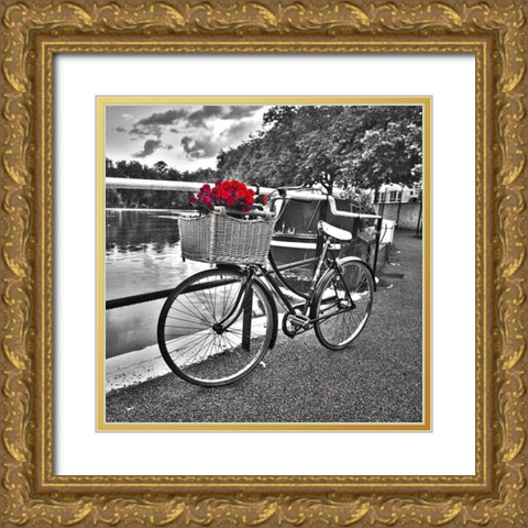 Bicycles with flowers Gold Ornate Wood Framed Art Print with Double Matting by Frank, Assaf