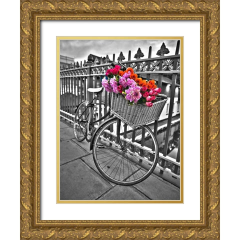 Bicycles with flowers Gold Ornate Wood Framed Art Print with Double Matting by Frank, Assaf