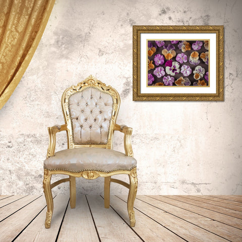 Pansy flowers Gold Ornate Wood Framed Art Print with Double Matting by Frank, Assaf
