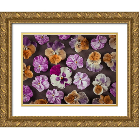 Pansy flowers Gold Ornate Wood Framed Art Print with Double Matting by Frank, Assaf