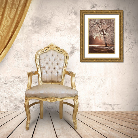 Autumn tree in sunlight Gold Ornate Wood Framed Art Print with Double Matting by Frank, Assaf