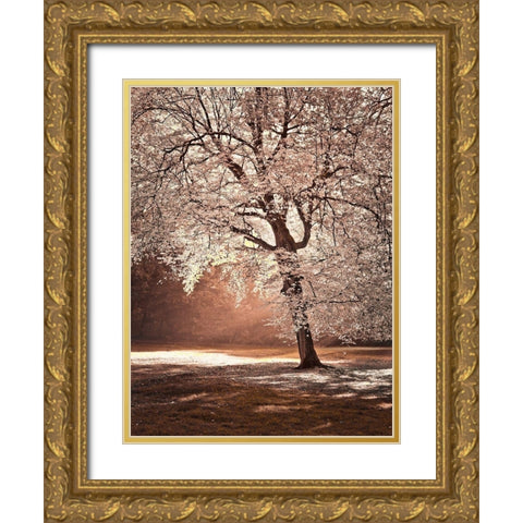 Autumn tree in sunlight Gold Ornate Wood Framed Art Print with Double Matting by Frank, Assaf