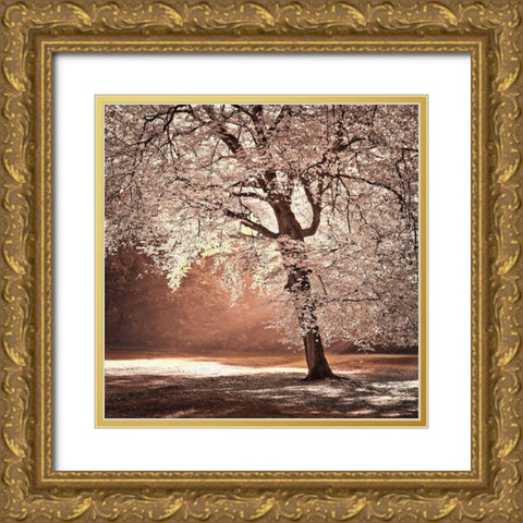 Autumn tree in sunlight Gold Ornate Wood Framed Art Print with Double Matting by Frank, Assaf