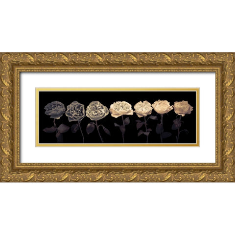 Multi coloured roses in a row Gold Ornate Wood Framed Art Print with Double Matting by Frank, Assaf