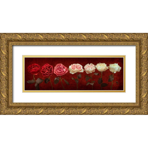 Multi coloured roses in a row Gold Ornate Wood Framed Art Print with Double Matting by Frank, Assaf
