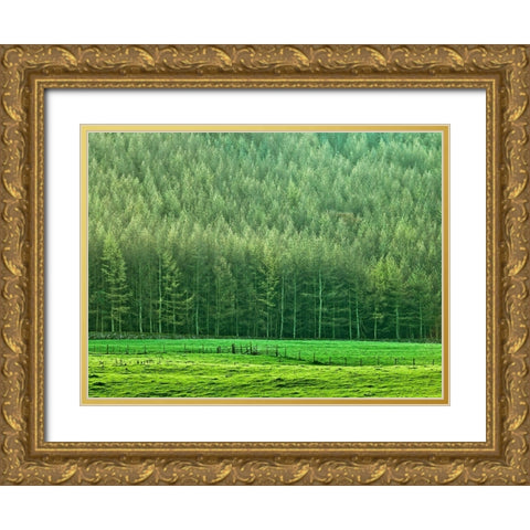 Forest edge Gold Ornate Wood Framed Art Print with Double Matting by Frank, Assaf