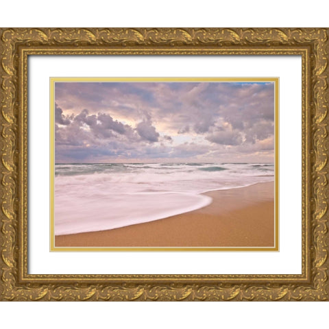 Tranquil beach Gold Ornate Wood Framed Art Print with Double Matting by Frank, Assaf