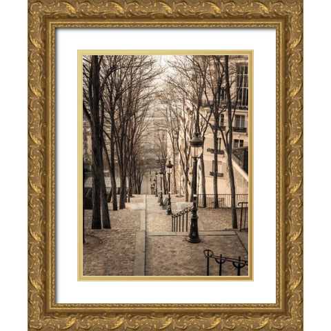 The famous staircase in Montmartre, Paris, France Gold Ornate Wood Framed Art Print with Double Matting by Frank, Assaf
