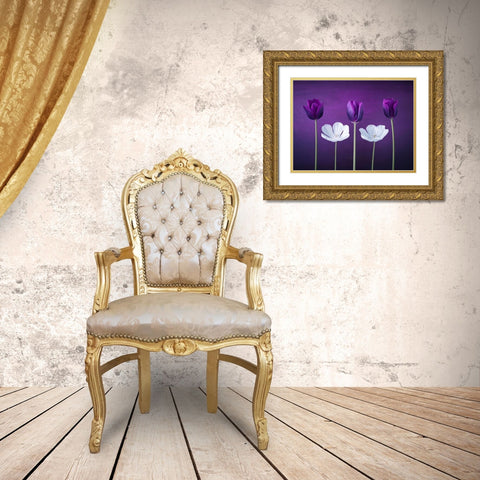 Tulip flowers in a row Gold Ornate Wood Framed Art Print with Double Matting by Frank, Assaf