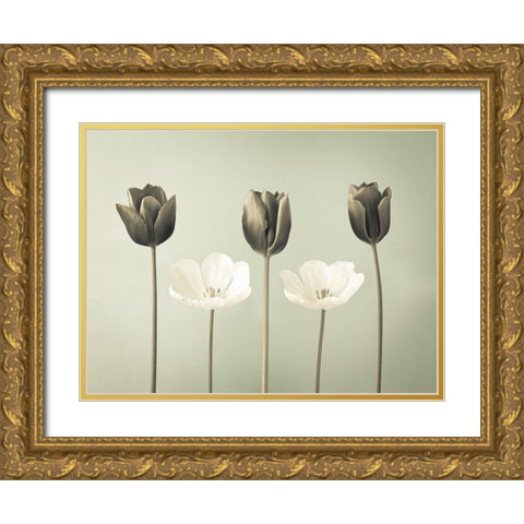 Tulip flowers in a row Gold Ornate Wood Framed Art Print with Double Matting by Frank, Assaf