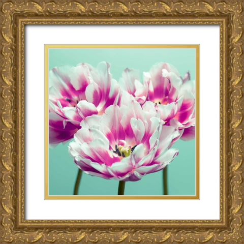 Three tulips Gold Ornate Wood Framed Art Print with Double Matting by Frank, Assaf