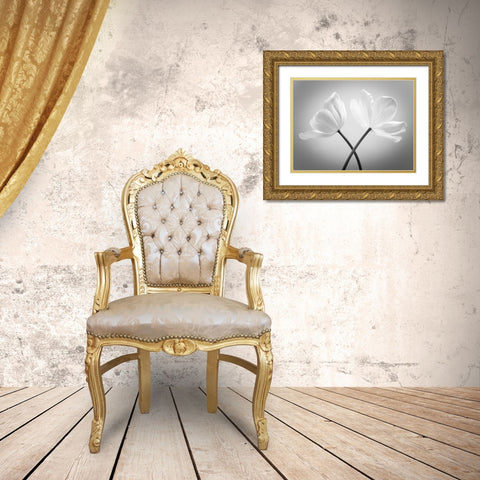 Two Tulip flowers crossed, FTBR-1821 Gold Ornate Wood Framed Art Print with Double Matting by Frank, Assaf