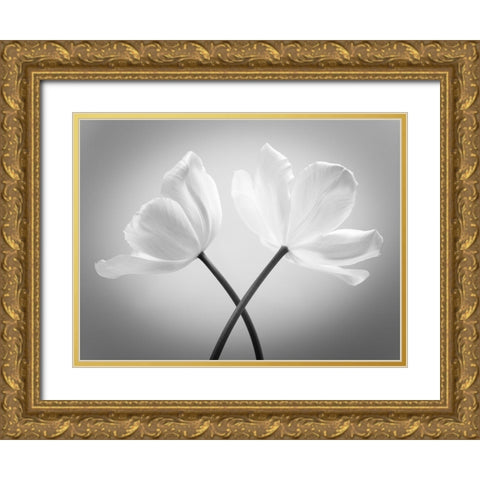 Two Tulip flowers crossed, FTBR-1821 Gold Ornate Wood Framed Art Print with Double Matting by Frank, Assaf