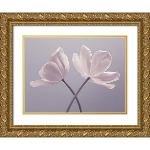 Two Tulip flowers Gold Ornate Wood Framed Art Print with Double Matting by Frank, Assaf