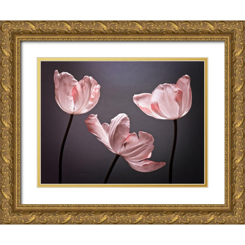 Three Tulips, FTBR-1823 Gold Ornate Wood Framed Art Print with Double Matting by Frank, Assaf