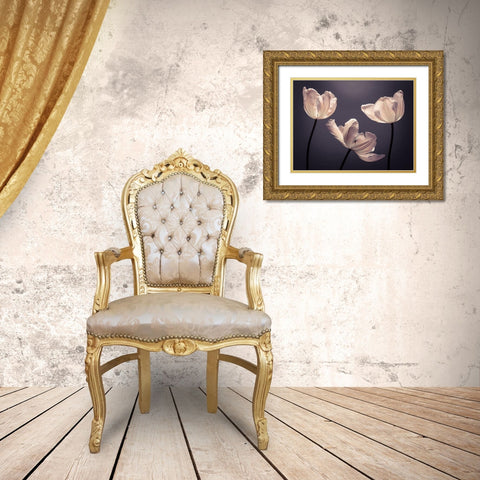 Three Tulips, FTBR-1824 Gold Ornate Wood Framed Art Print with Double Matting by Frank, Assaf